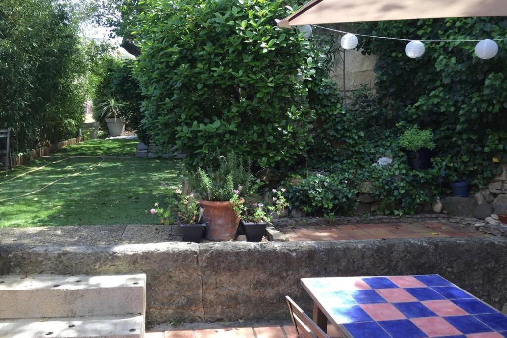 La Cassirene - Maisonnette Centre Cassis - Jardin Zewnętrze zdjęcie